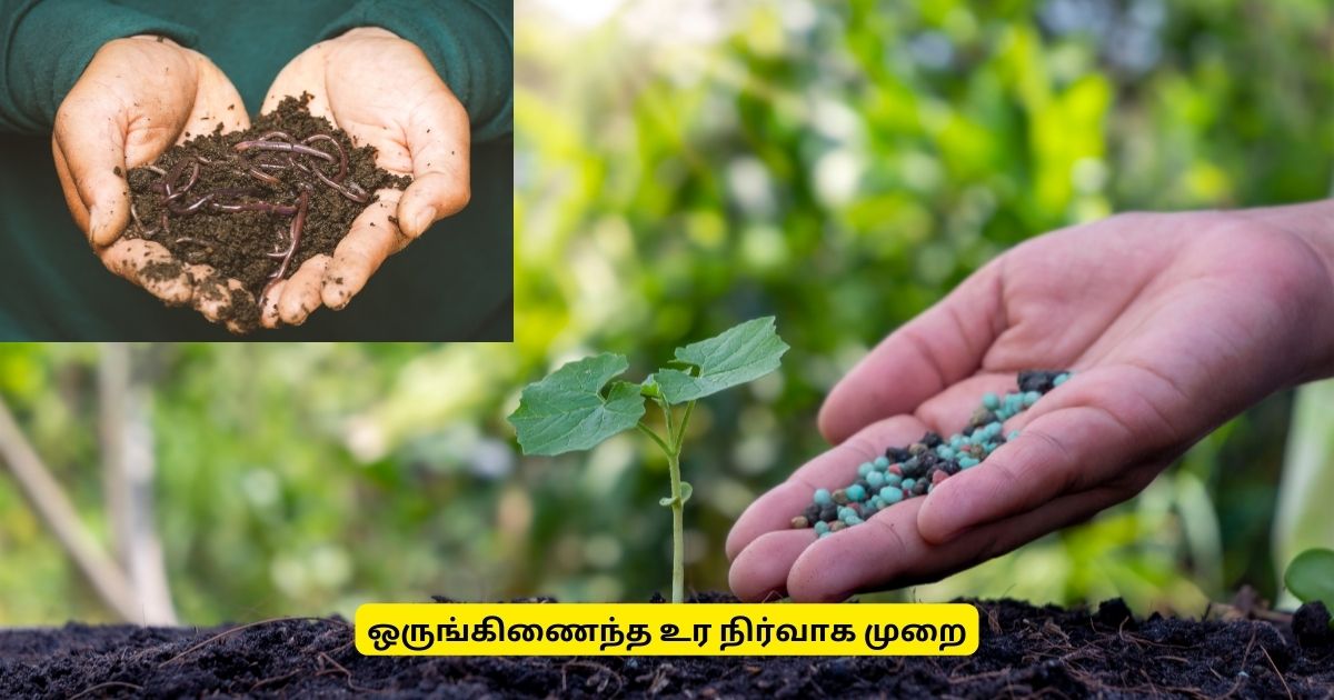 ஒருங்கிணைந்த உர நிர்வாக முறை